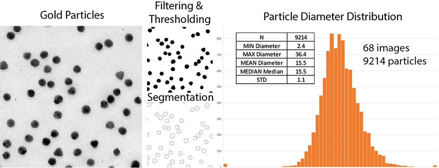 Particle Diameter Analysis